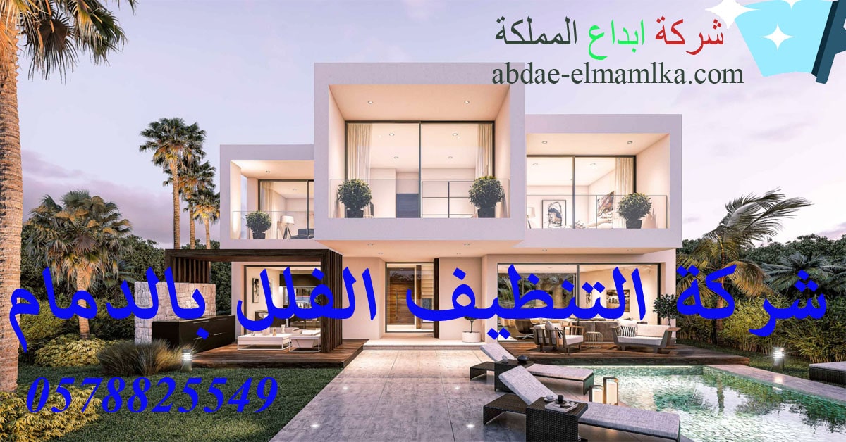 الشركة التنظيف الفلل