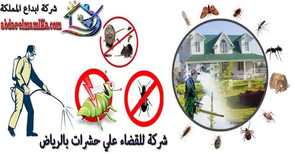 افضل شركة مكافحة الحشرات بالرياض