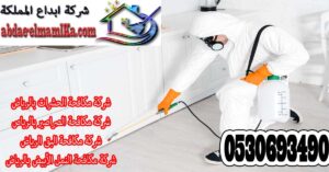 شركة مكافحة البق بالرياض