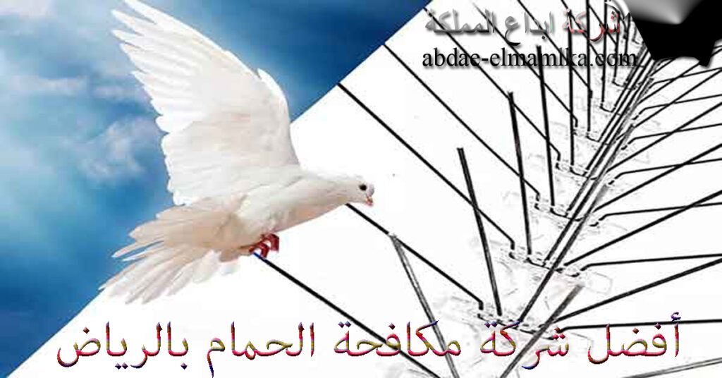 شركة مكافحة الحمام بالرياض