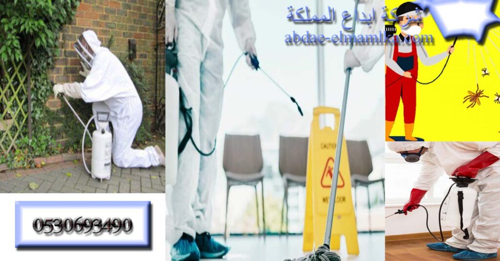 شركة رش مبيدات الرياض