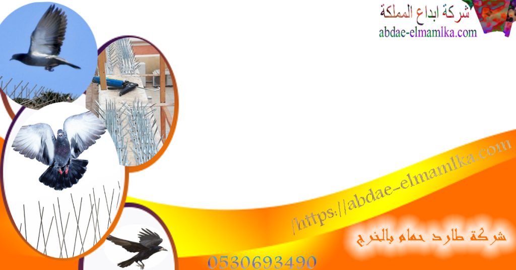 ارخص شركة طارد حما بالخرج