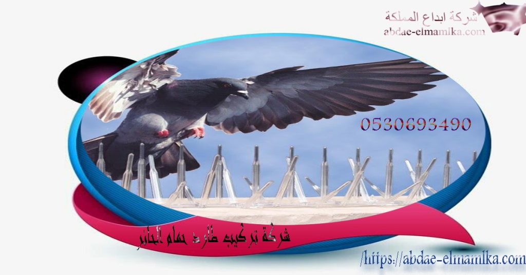 شركة تركيب طارد حمام بالحائر
