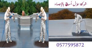 شركة عزل أسطح بالإحساء