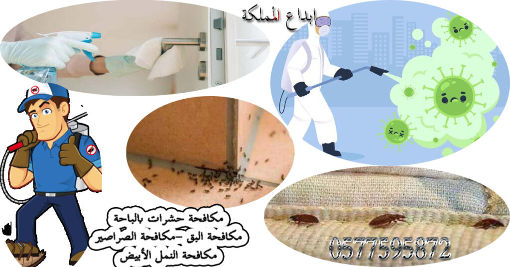 شركة مكافحة حشرات بالباحة