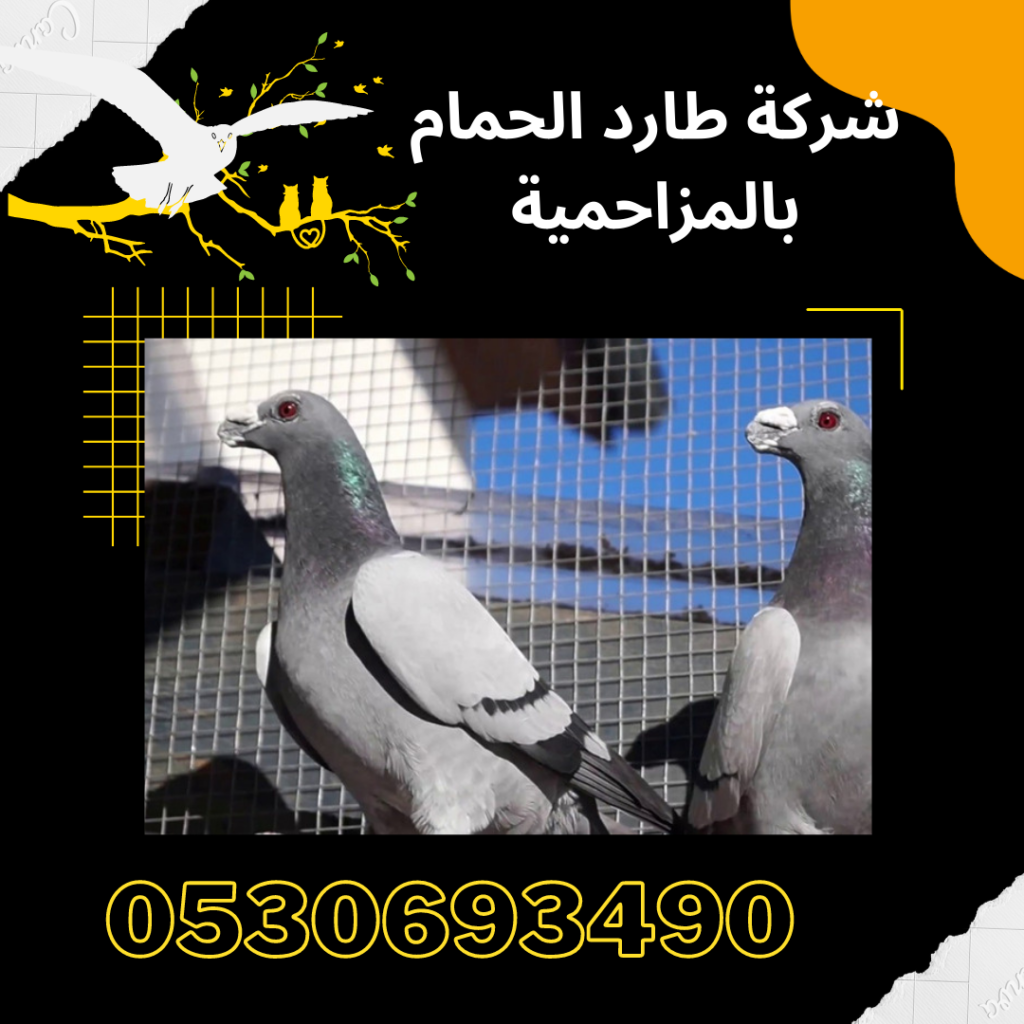 ارخص شركة طارد الحمام بالمزاحمية