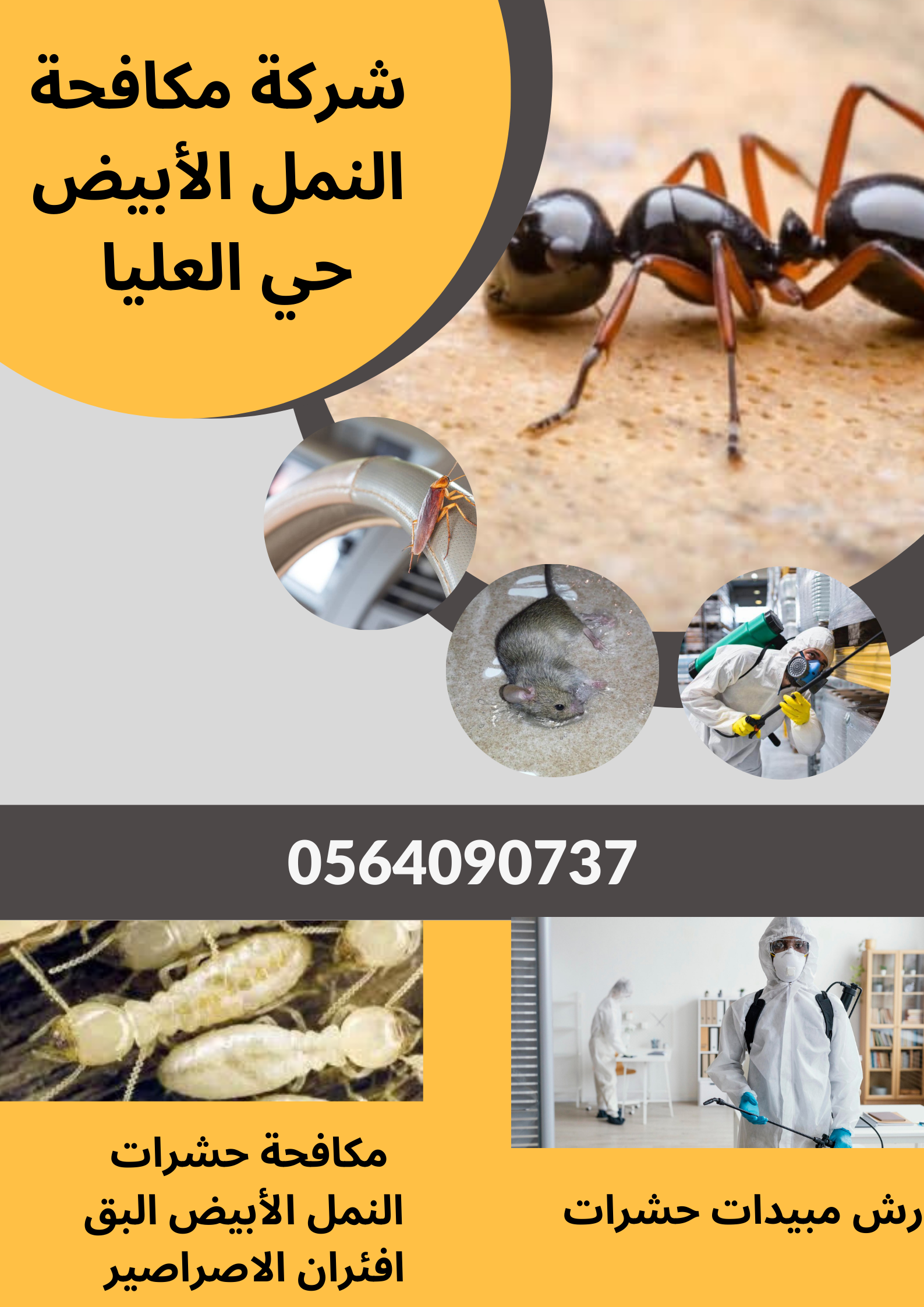 شركة مكافحة حشرات بحي العليا الرياض 