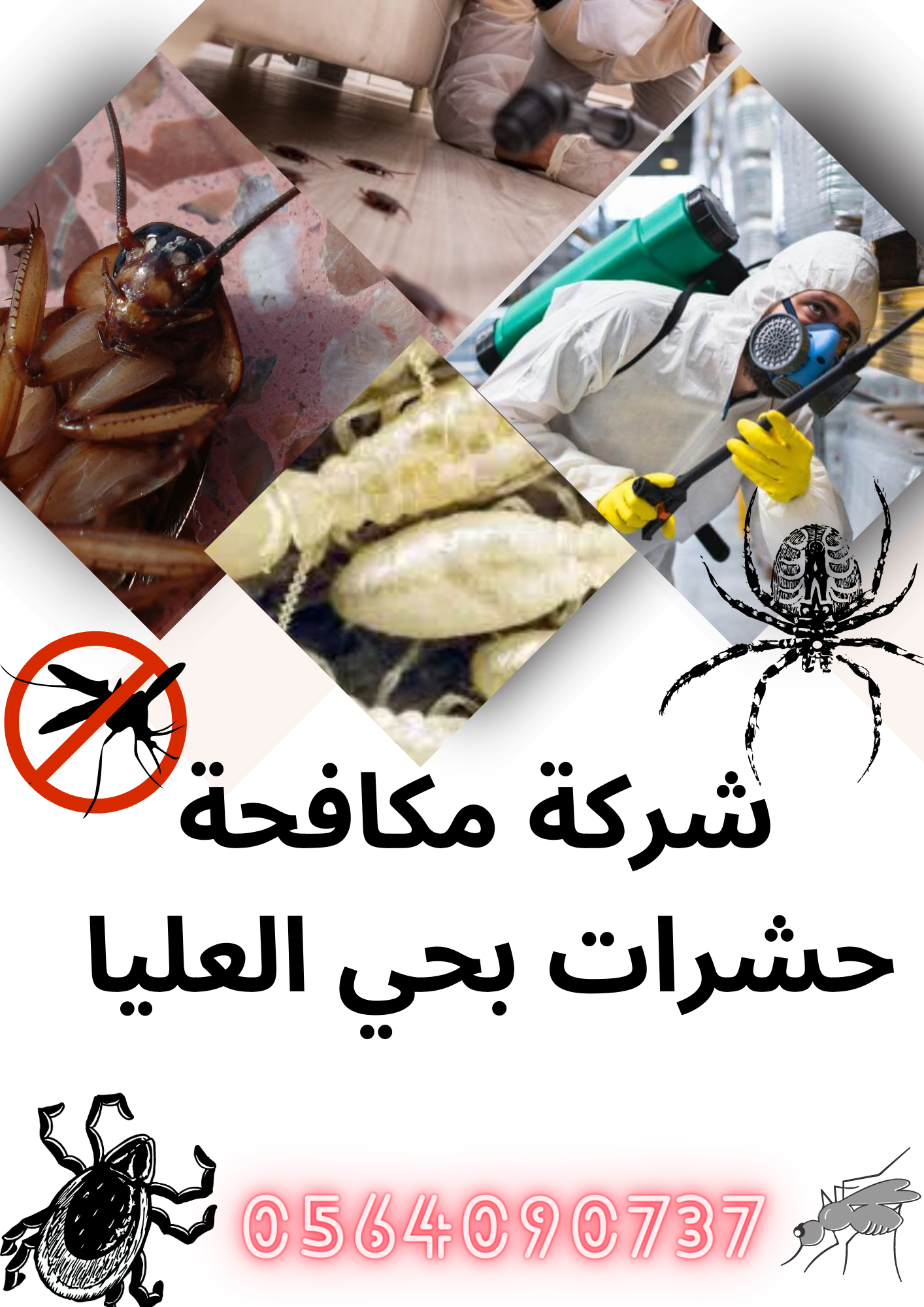 شركة مكافحة النمل الأبيض بحي العليا الرياض 