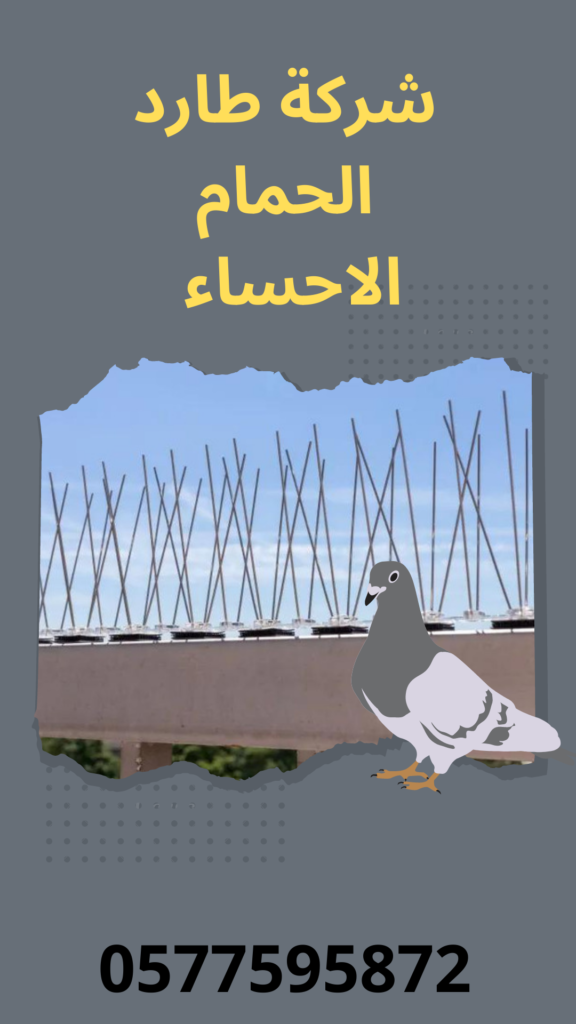 اؤخص شركة طارد الحمام بالاحساء 